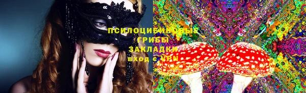 ешки Бронницы