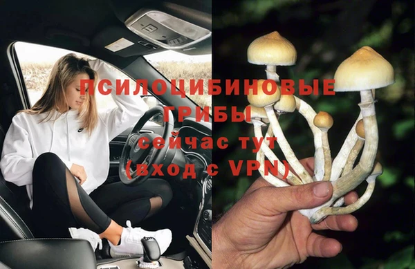 марки lsd Бородино